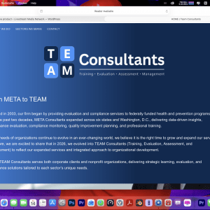 TEAM Consultant Website Design